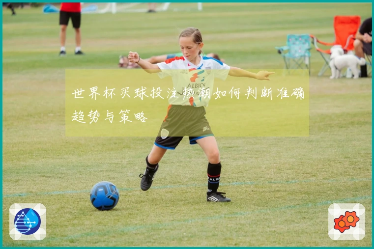 世界杯买球投注热潮如何判断准确趋势与策略