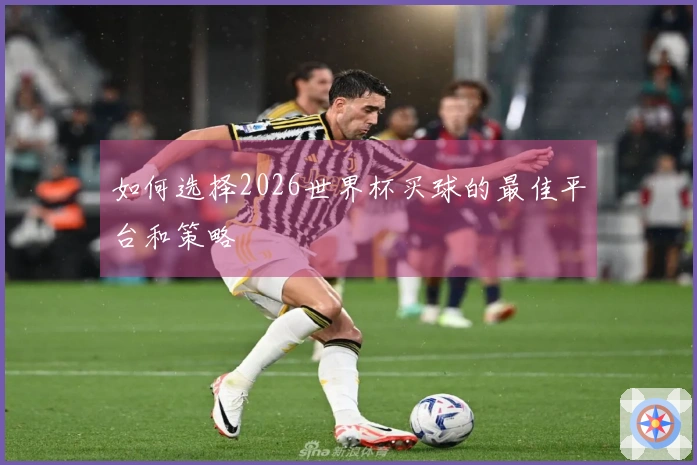 如何选择2026世界杯买球的最佳平台和策略