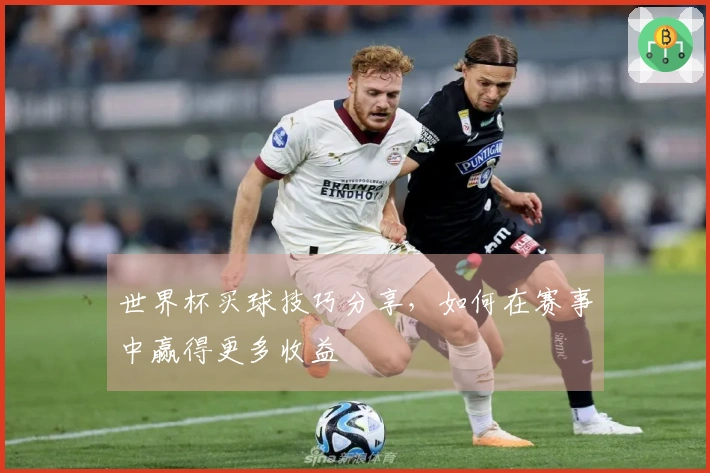 世界杯买球技巧分享，如何在赛事中赢得更多收益