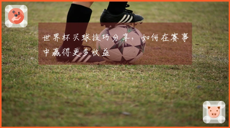 世界杯买球技巧分享，如何在赛事中赢得更多收益