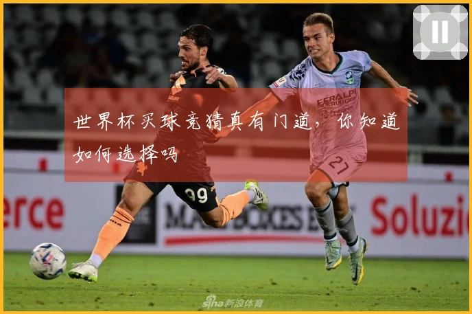 世界杯买球竞猜真有门道，你知道如何选择吗