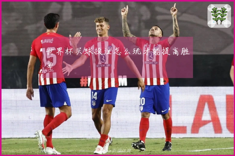 世界杯买球投注怎么玩才能提高胜率
