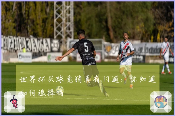 世界杯买球竞猜真有门道，你知道如何选择吗