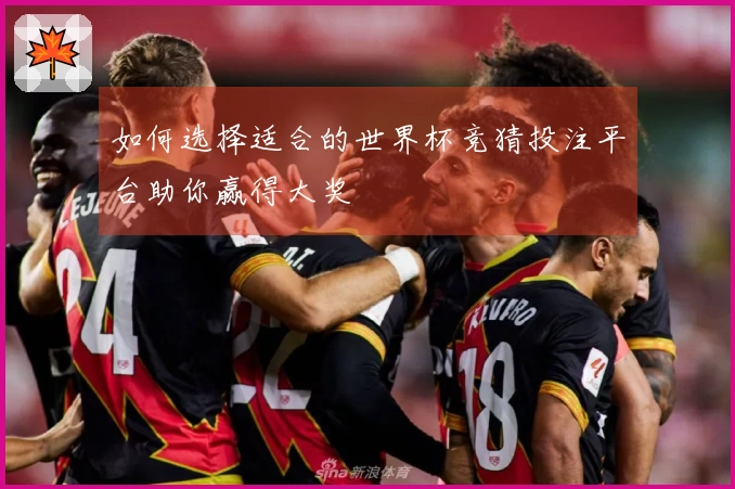 如何选择适合的世界杯竞猜投注平台助你赢得大奖