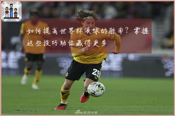 如何提高世界杯滚球的胜率？掌握这些技巧助你赢得更多