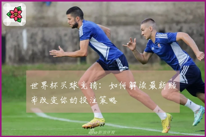 世界杯买球竞猜：如何解读最新赔率改变你的投注策略